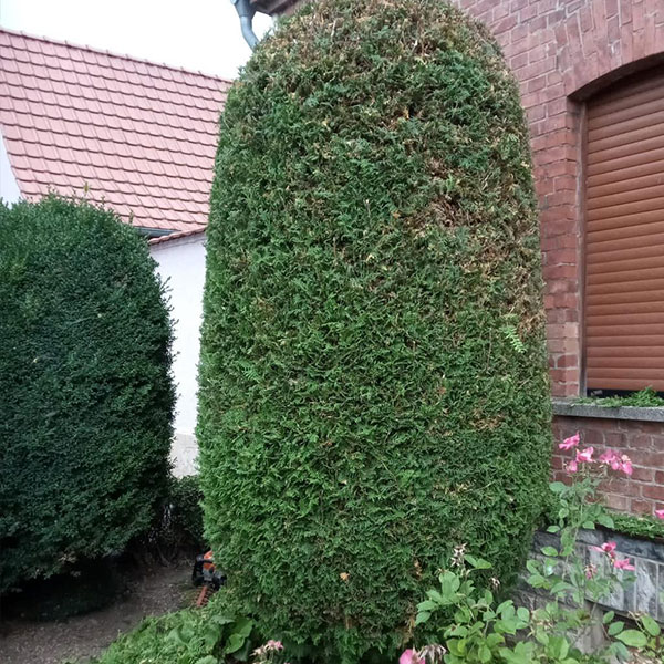 #